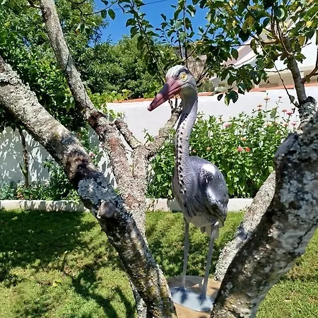 A Telleira Nyaraló Rosal