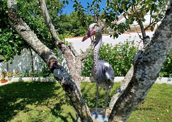 A Telleira Σπίτι διακοπών Rosal